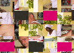 LA PAIRE 1.gif